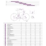 Liv ENVILIV ADVANCED 2  - Woman Carbon Road Bike - 2025 - Prismatic Haze - Image 2