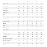 Specialized DIVERGE 4 SPORT - Gravel Bike - 2026 - gloss dark navy - Image 2