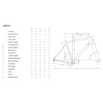 FOCUS ATLAS 8.9 - Carbon Gravel Bike - 2025 - Goldbrown - Image 2