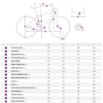 Liv DEVOTE 2 - Gravel Bike - 2025 - terracotta - Image 2