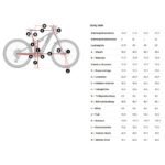 Trek POWERFLY+ FS 4 Gen 4 - 29" Electric Mountain Bike - 2025 - Pennyflake/Black Olive - Image 2