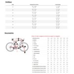 Trek DOMANE SLR 7 Gen 4 - Carbon Road Bike - 2026 - Gecko Phaze - Image 2