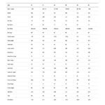 BMC Kaius 01 FOUR - Carbon Gravel Bike - 2026 - black / neon red - Image 2