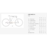 BH Bikes LYNX RACE 8.5 - 29" Carbon Mountainbike - 2025 - carbon light grey / light grey - Image 2