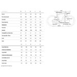 CUBE NUROAD HYBRID C:62 SLX 400X - Carbon Electric Gravel Bike - 2025 - carbon / glossy - Image 2