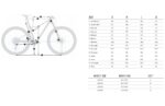 Orbea OIZ M10 - Carbon Mountain Bike - 2026 - Diamond Carbon View (matt/gloss) - Image 2