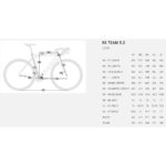 BH Bikes RX TEAM 5.0 - Carbon Cyclocross Bike - 2025 - silver / black / black - Image 2