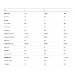 BMC SPEEDMACHINE 01 FOUR - Carbon Triathlon Bike - 2026 - cool white / black - Image 2