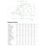 Cannondale SYNAPSE CARBON 2 - Roadbike - 2025 - grey - Image 2