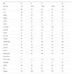 BMC URS 01 THREE - Carbon Gravel Bike - 2024 - minty aqua / dark blue - Image 2