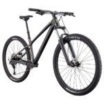 Cannondale HABIT HT 2 - 29" Mountainbike - 2026 - obsidian - Image 3
