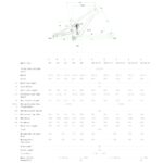 Norco OPTIC C2 - 29'' Carbon Mountain Bike - 2025 - raw shore green - Image 2