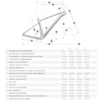 SCOTT SCALE RC TEAM - 29" Carbon Mountain Bike - 2026 - carbon black - Image 2
