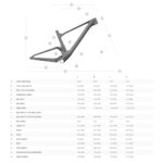 SCOTT SPARK RC WORLD CUP - 29" Carbon Mountain Bike - 2026 - carbon black - Image 2